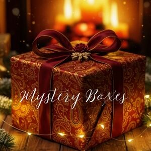 Mystery Box NWT Purse Wallet HBA Sunglasses Acessory Jewelry $150+ msrp